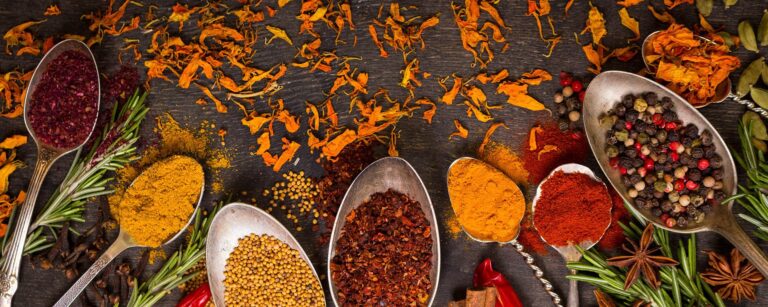 Les épices dans la cuisine Indienne