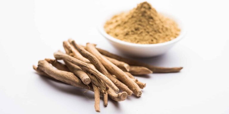 Découvrez notre guide sur la plante ashwagandha