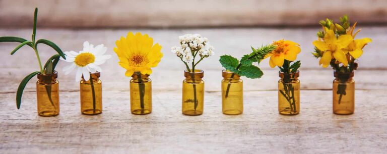 Se soigner avec l'Ayurveda