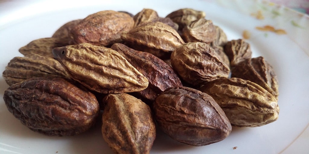 L’haritaki possède des bienfaits idéals pour faire une détox alimentaire