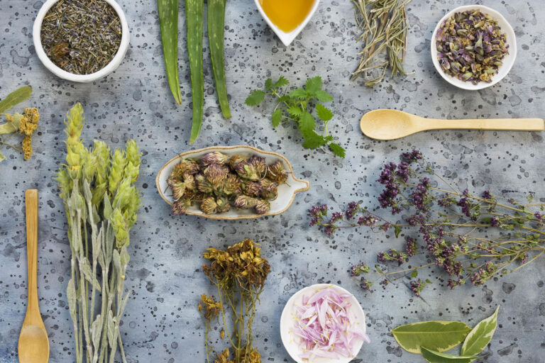 Découvrez tout ce qu'il faut savoir sur les plantes adaptogènes et leurs bienfaits